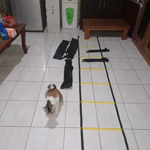 Agility Ladder / Tangga Tali Nilon Untuk Latihan Kecepatan