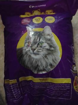 Product Review of Makanan Kucing Bolt Repack 800GR Murah Tuna Cat Food MURAH !!! from Tokopedia customer review 0