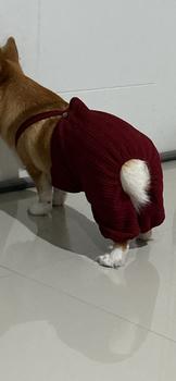 Product Review of Pawlovin - Baju Anjing & Kucing Bowie Jumpsuit from Tokopedia customer review 0