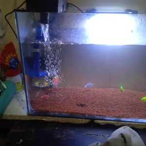 Lampu LED Celup Aquarium T4 20Cm, 30Cm, 40Cm Aquascape