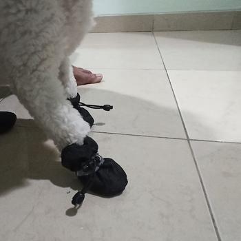 Product Review of Sepatu boots anjing kucing cat dog tebal anti slip musim dingin shoes from Tokopedia customer review 0