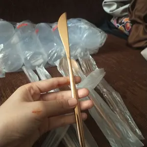 Pisau Makan B Stainless Steel 22cm