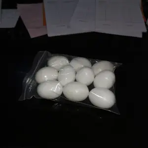 SEMPATI TELUR MAINAN BURUNG MERPATI TELUR MAINAN AYAM DENECD