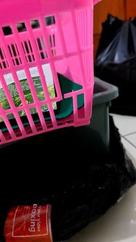 Product Review of INFARM - Paket Kit Hidroponik Rakit Apung Kangkung Bak Persegi Daun Kotak from Tokopedia customer review 2