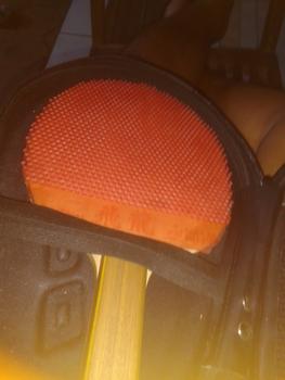 Product Review of Karet Tenis Meja Pingpong Feilung Bintik Panjang from Tokopedia customer review 0