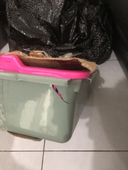 Product Review of INFARM - Paket Kit Hidroponik Rakit Apung Kangkung Bak Persegi Daun Kotak from Tokopedia customer review 1