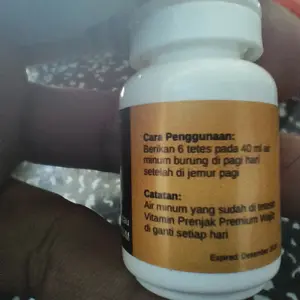 Doping Vitamin Burung Prenjak Premium Biar Gacor Full Fighter Ganas