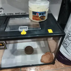 WATER DISH FEEDING DISH REPTILE TEMPAT MAKAN MINUM TEGU GECKO TORTOISE SULCATA KADAL ULAR BD SALVA KELOMANG INSECTA TARANTULA WADAH AIR KALSIUM BOWL PIRING MAKANAN HEWAN REPTIL AKSESORIS TERRARIUM PALUDARIUM