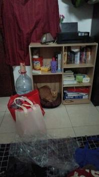 Product Review of RAK BUKU UNIHOME RB12 WHITE from Tokopedia customer review 3