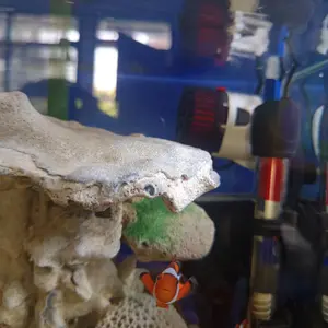 KANDILA WM - 3000 Wave Maker Aquarium  Pembuat Arus Ombak Gelombang Air Akuarium