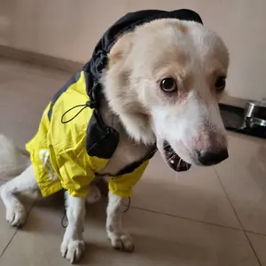Dog windproof waterproof raincoat jacket THE DOG FACE Windproof Jacket