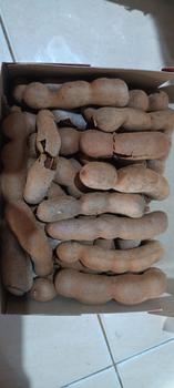 Product Review of Buah Asam Bangkok / Sweet Tamarind 500gr Manis Thailand Harga Grosir from Tokopedia customer review 1
