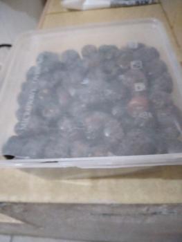 Product Review of kurma ajwa 1kg/ kurma madinah/ kurma nabi from Tokopedia customer review 0