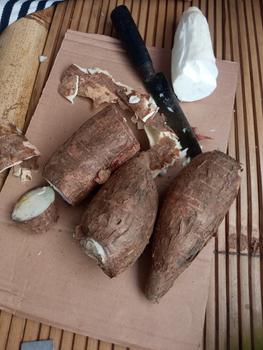 Product Review of Singkong racun - Singkong racun sapikuru segar 1 kg from Tokopedia customer review 0