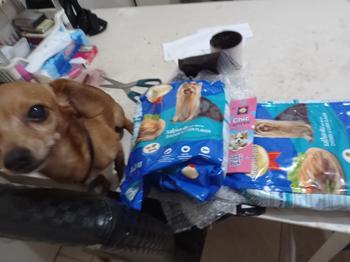 Product Review of SmartHeart Makanan Anjing Kering Dry Dog Food Small Breed Chicken & Liver Flavor 1.3 Kg from Tokopedia customer review 0