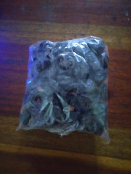 Product Review of Ajwa grade A 500gr kemasan/ ajwa super premium/ ajwa nabi from Tokopedia customer review 0