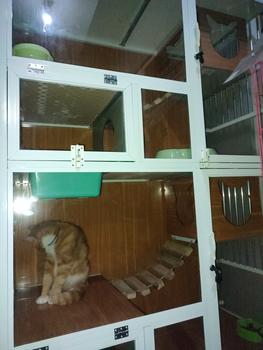 Product Review of KANDANG KUCING ALUMUNIUM JUMBO MAINAN from Tokopedia customer review 1