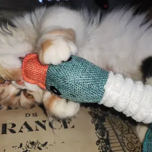 Mainan Boneka Gigitan Anjing Mainan kucing Kucing Bunyi Bentuk Kartun Bahan Plush