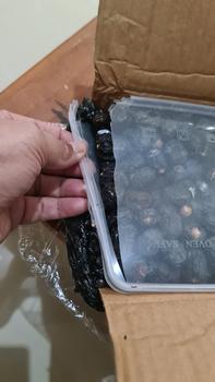 Product Review of kurma ajwa 1kg/ kurma madinah/ kurma nabi from Tokopedia customer review 3