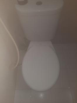 Product Review of 【inemjogja X Logeski】Logeski pembersih kerak wc Toilet Bowl Cleaner memiliki daya pembersihan yang tinggi. Tidak perlu menggosok dengan keras. Membersihkan toilet, mendisinfeksi dan membersihkan 99,9% from Tokopedia customer review 1
