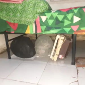 Homedoki BASICLITEBED  Series/ Tatakan Divan Tempat Tidur / Yelena Ranjang Tidur / Dipan Tempat Tidur