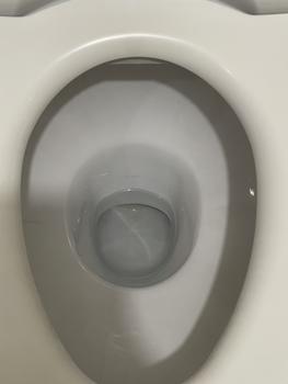 Product Review of 【inemjogja X Logeski】Logeski pembersih kerak wc Toilet Bowl Cleaner memiliki daya pembersihan yang tinggi. Tidak perlu menggosok dengan keras. Membersihkan toilet, mendisinfeksi dan membersihkan 99,9% from Tokopedia customer review 0
