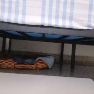 Homedoki Basicbed  Series/ Tatakan Divan Tempat Tidur / Yelena Ranjang Tidur / Divan Dipan Tempat Tidur / Kai Ranjang Besi Industrial Bed In a Box Furniture