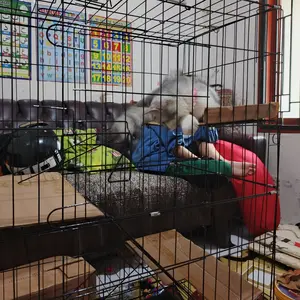 Kandang Kucing Tingkat 3 Roda Ukuran L 100x60x45 CM dengan Tatakan Aman dan Nyaman