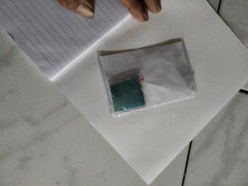 Product Review of 2500 butir Benih Rumput Lapangan Golf (Grass Seeds Evergreen) from Tokopedia customer review 0