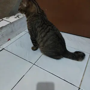review image 8