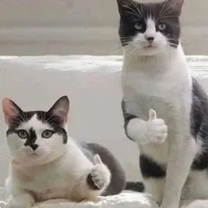 [BEST SELLER] APAR 3KG TONATA / ABC Powder / Set Komplit