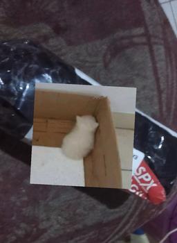 Product Review of MIISOO Parfum EDT/Parfum Eu de Toilet 50 ml Parfum Wanita/Parfum Pria Parfum Unisex/Wangi Kuat dan Tahan lama Perfume from Tokopedia customer review 0