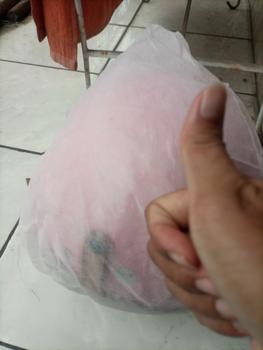 Product Review of HELM BOGO DEWASA KACA PILOT CLEAR MODEL HIJAB RETRO PRIA WANITA LIST BUSA COKLAT FULL LEHER SNI TERBARU MOTORCYCLE from Tokopedia customer review 2