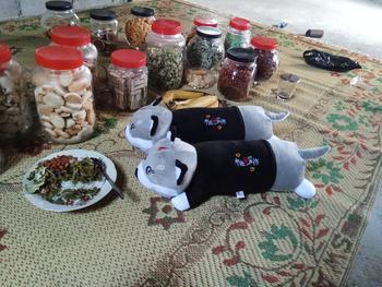Product Review of Bantal Guling Lying DOG HUSKI JUMBO 100cm Bahan Plush Premium Dolls Toys from Tokopedia customer review 0