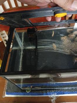 Product Review of POMPA AIR AQUARIUM INTERNAL FILTER RECENT AA 1000L 1000 L from Tokopedia customer review 0