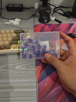 Product Review of HMX Lemon Grape Switch Linear Switch Mechanical Keyboard 5 Pin Furycube F75 switch 10 Pcs from Tokopedia customer review 1