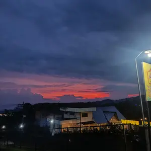 Mainan kucing Bulu Tongkat Lentur Bisa DiLepas dan putar Pasang Untuk Kucing Anjing Dengan Suction Cup/Cat Teaser Stick