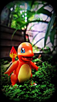 Product Review of Blokees / Buluke Pokemon CV-S Limited Item from Tokopedia customer review 0