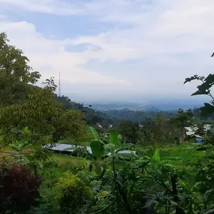 Sikat Sabut Pembersih/Sikat Sabut Gagang Lantai Keramik Kamar Mandi Cuci Piring / Sikat NANO MAGIC Spons Tebal Fiber Sikat Panci Pembersih Kerak Noda Alat Dapur Wc Toilet Keramik Multifungsi