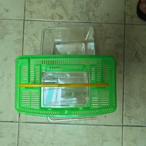 BOX KURA KURA / IKAN HIAS SIZE XL PANJANG 20 CM, LEBAR 12 CM