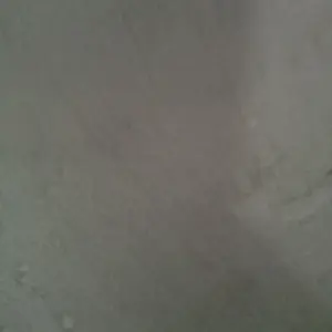 Swan Harmonika 10 Lubang Diatonic Scale Harmonica 10 Holes