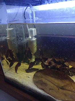 Product Review of KANDILA FISH TOILET FT - 800 Pompa Air Internal Filter Aquarium Aquascape from Tokopedia customer review 0
