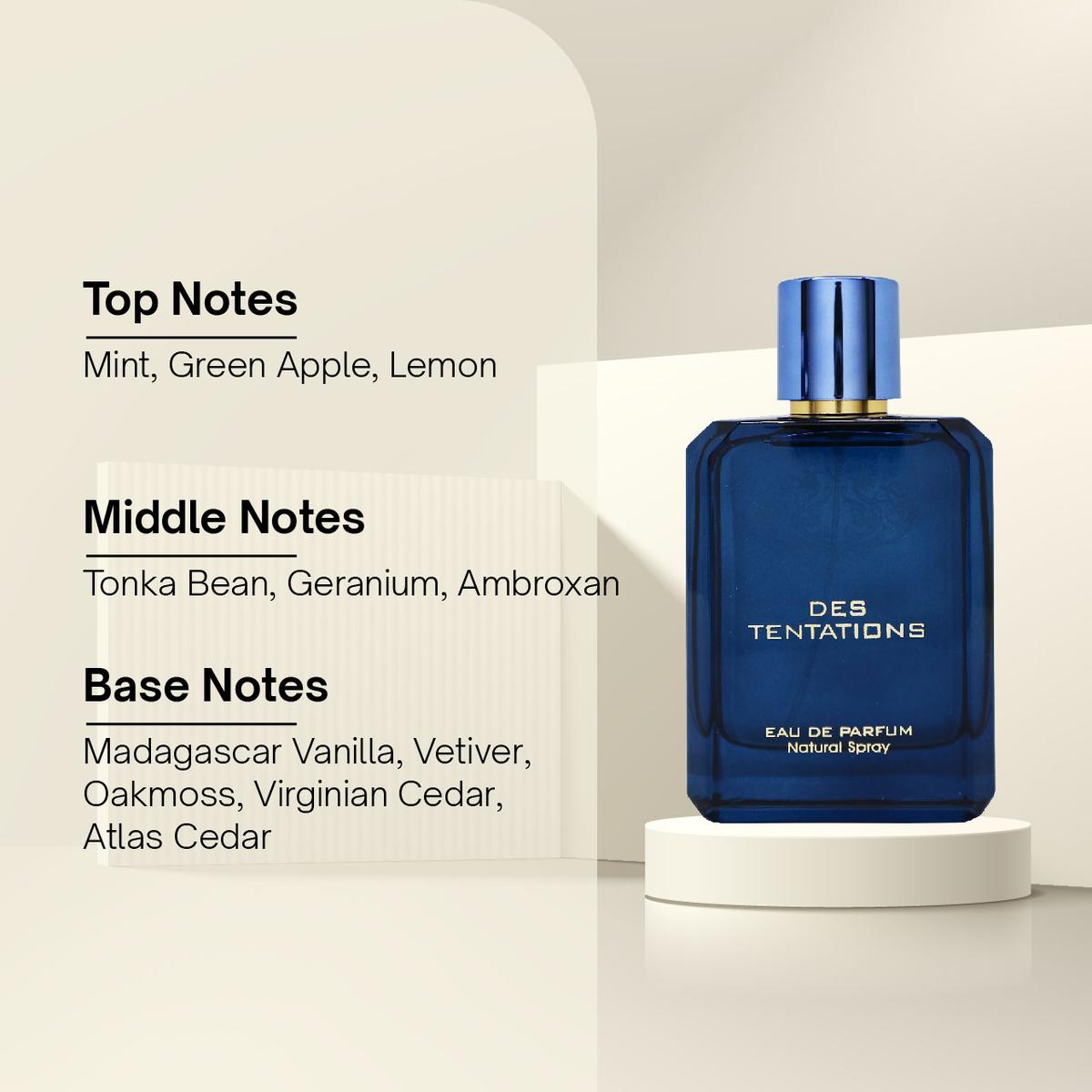 Product Introduction of Parfum Fragrance World Des Tentations Man 100 ML 2