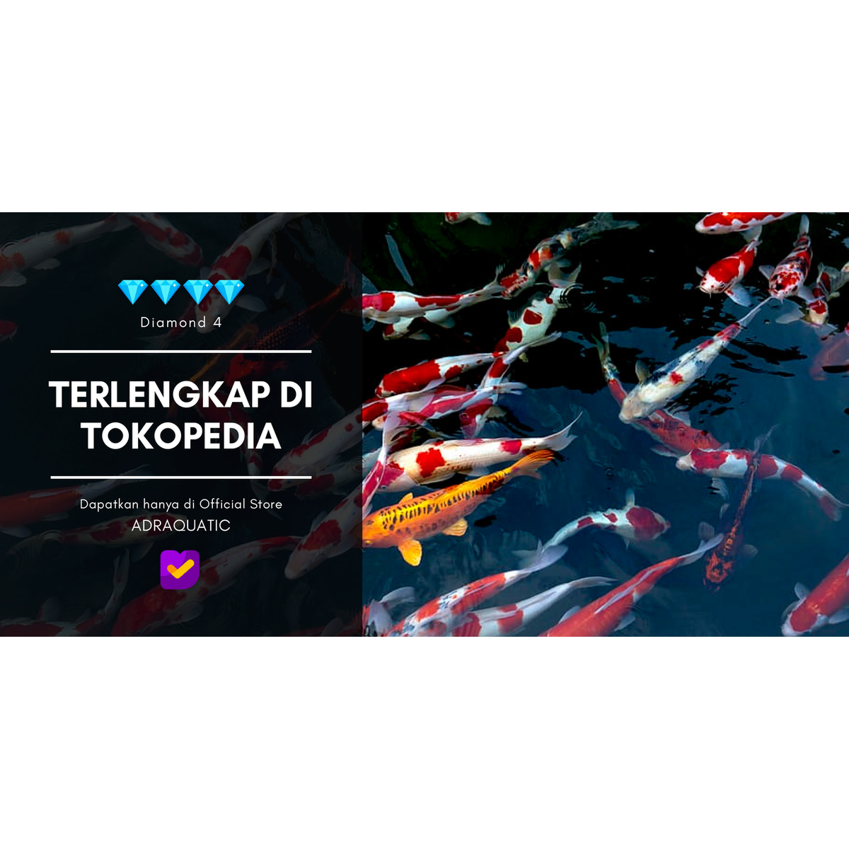 Product Introduction of MICROCELL PURE+ O2 PRODUCER OBAT VITAMIN IKAN HIAS PENJERNIH AIR AQUARIUM KOLAM 1