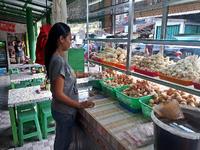Gambar Pempek Asli Palembang Tekwan Kering Panjang Pempek Lala Palembang 500 dari Toko Pempek Ampera Kota Palembang 3 Tokopedia