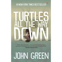 Gambar Turtles All The Way Down dari Mizanstore Jakarta Kota Depok 3 Tokopedia