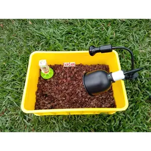 Paket Kandang Kura Darat Tortoise