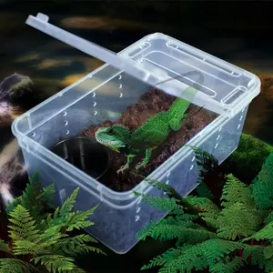 Breeding Reptile Box S Kandang Tarantula Enclosure Feeding NOMOY H3