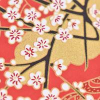 Gambar 20pcs/pack Kertas Origami Motif Bunga Gaya Jepang Untuk Dekorasi dari MOROORENE Kota Administrasi Jakarta Pusat 4 Tokopedia