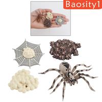 Gambar 1 Set Spider Life Cycle Stages Classroom Teaing Accessories dari MOROORENE Kota Administrasi Jakarta Pusat 4 Tokopedia